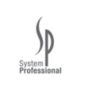 SYSTEM PROFESSIONAL