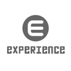 EXPERIENCE
