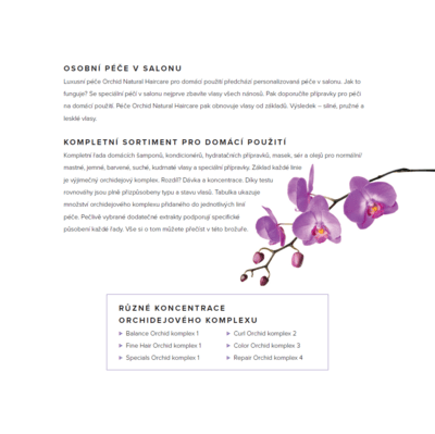 ARTISTIQUE BROCHURE ORCHID CZ