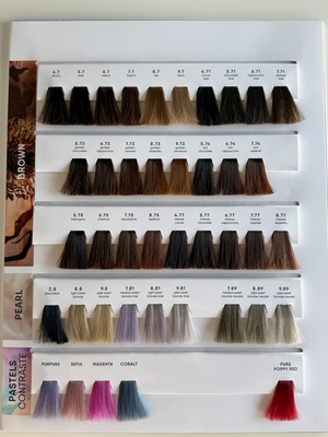 TRINITY Bloom vzorkovník farieb