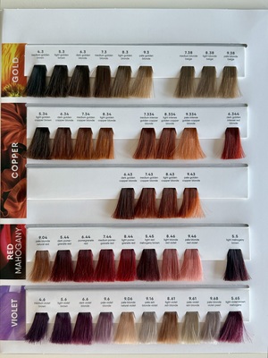 TRINITY Bloom vzorkovník farieb