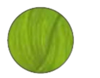Directions - fluorescent lime 89 ml