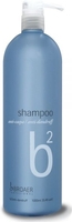 b2 Dandruff