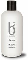 b2 Silver Color