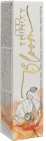 Bloom 9.334 Pale Intense Golden Copper Blonde