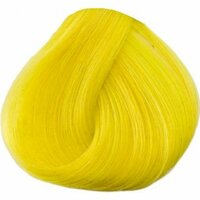 Directions - Bright Daffodil