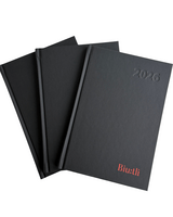 BIUTLI DIARY 2025