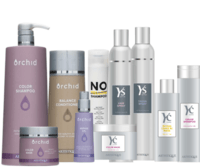 ARTISTIQUE Care&Styling set
