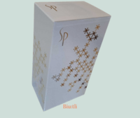 Gift Box Christmas Mood