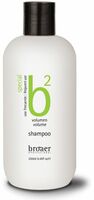 b2 Volume