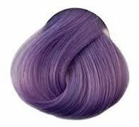 Directions - Lilac