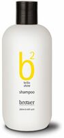 b2 Shine
