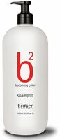 b2 Becoming Color