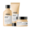 Absolut Repair