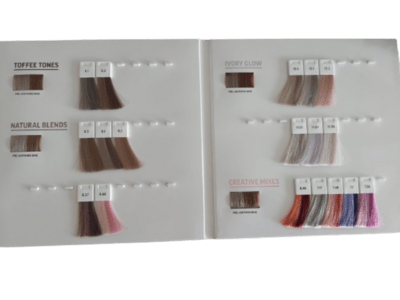 ARTISTIQUE COLORCHART Arti Shades