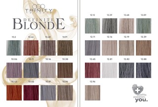 Definite Blonde Pearl Blonde 10.16 ASH 